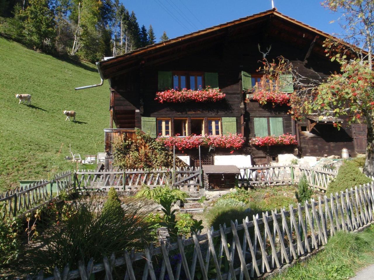 Appartment Andrea Adelboden Exterior photo