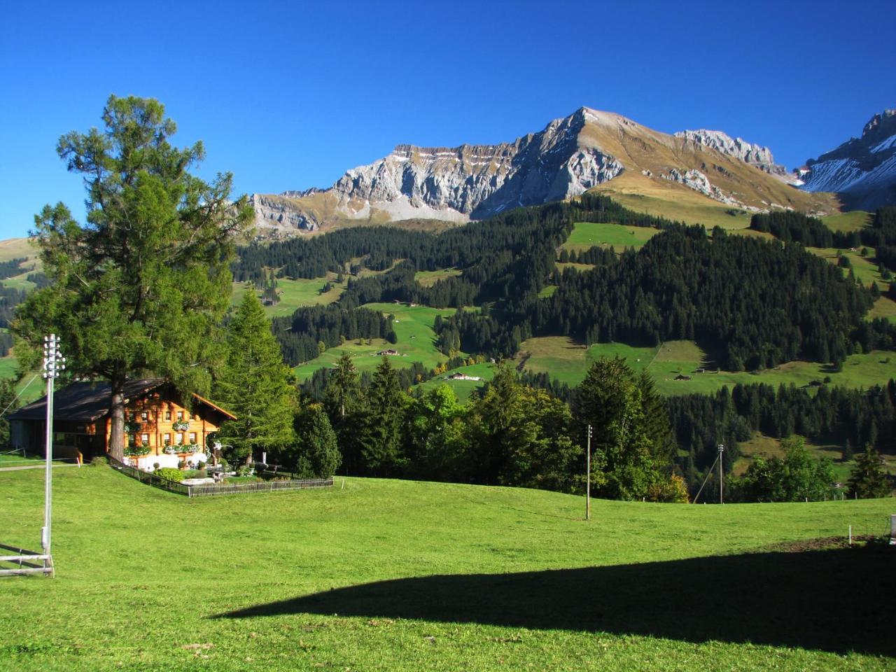 Appartment Andrea Adelboden Exterior photo