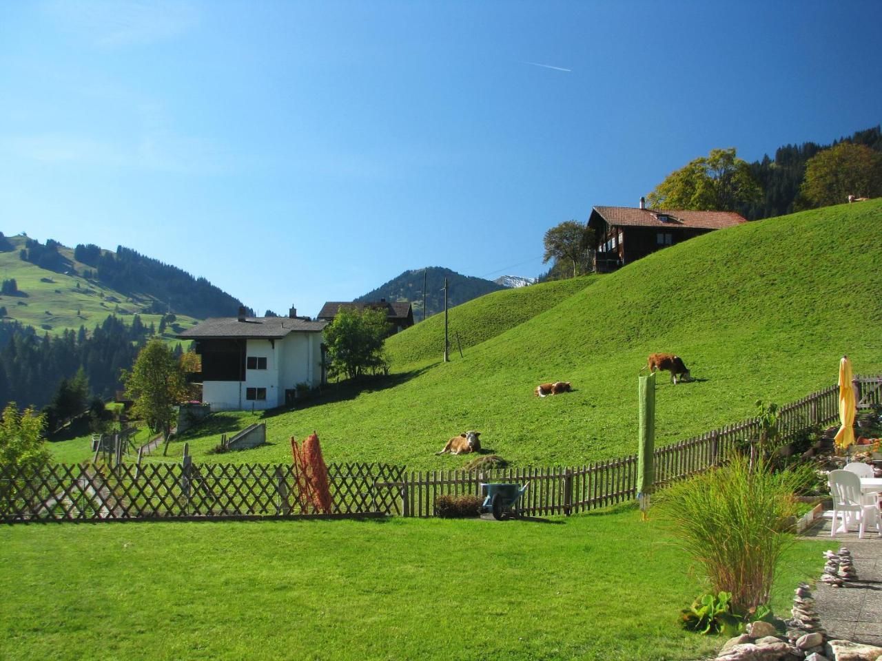 Appartment Andrea Adelboden Exterior photo